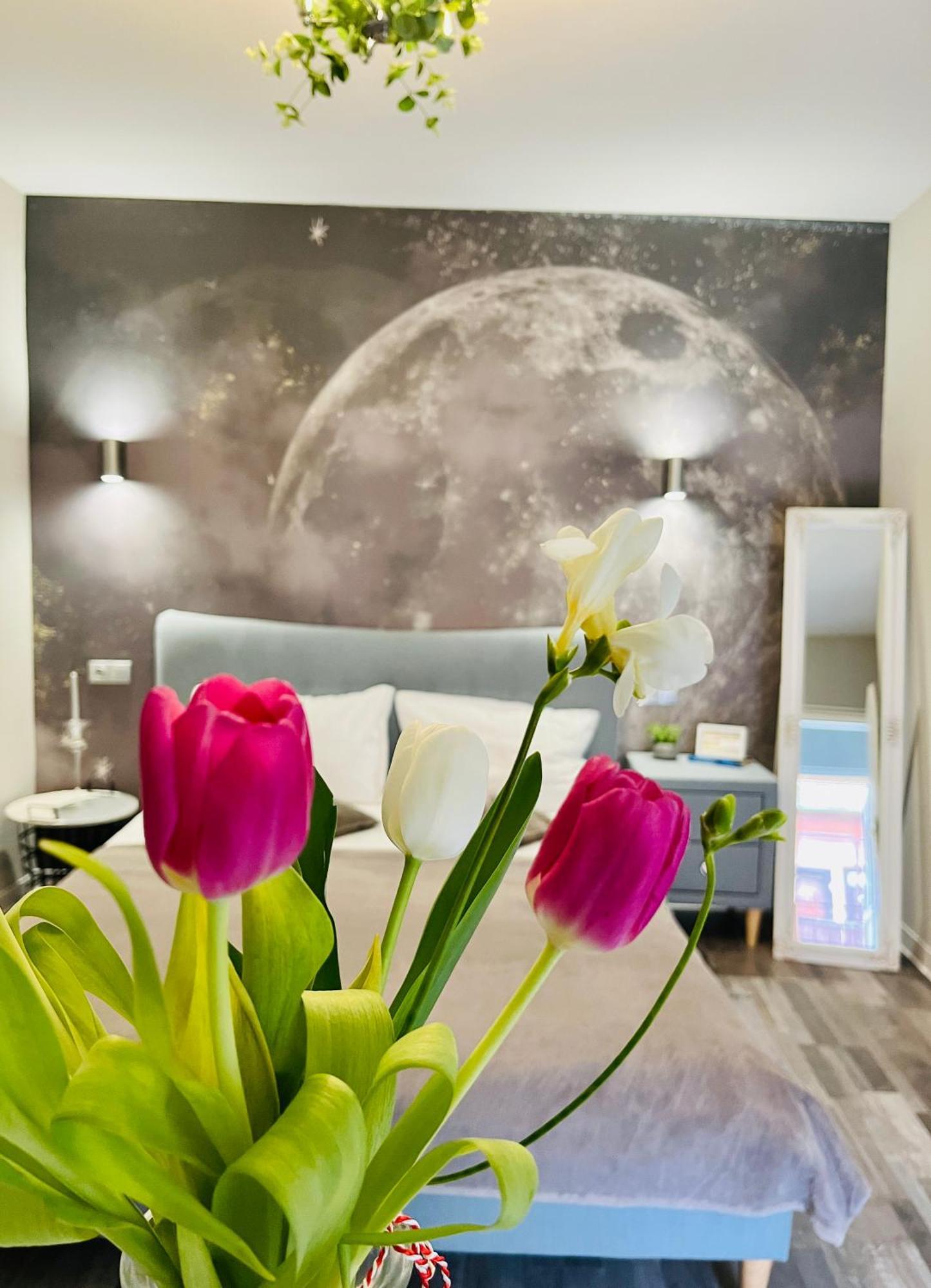 Moon And Sun Apartments سيبيو المظهر الخارجي الصورة